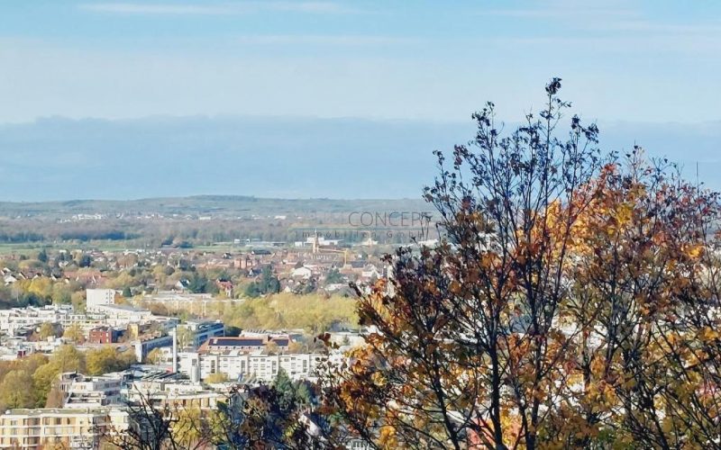 Schlossberg Freiburg