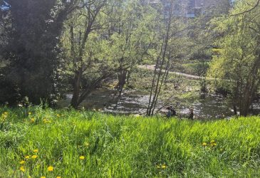 Mietangebot: PKW-Stellplätze im Innenhof – Schwarzwaldstraße 15, Freiburg Oberwiehre - Nähe Dreisam Schwabentor - - Gewerbeimmobilien Freiburg - Mieten und Vermieten in Freiburg - Raum Concept Immobilien GmbH PKW-Stellplätze in Freiburg Oberwiehre in der Nähe der Dreisam & Schwabentor zu vermieten: Mit Vereinbarung vermieten wir ab sofort PKW-Stellplätze im Innenhof der Schwarzwaldstraße 15, 79117 Freiburg. Geteerter, fester Untergrund Feste Stellplatzzuordnung Zugang jederzeit (24/7) Zentrale Lage, gute Anbindung Videoüberwachung geplant Mietpreis: 100 €/Monat, flexible Laufzeit mit 3 Monaten Kündigungsfrist. Kontakt: Raum Concept Immobilien GmbH, Tel. +49 173 2305891, E-Mail: rci@rci-gmbh.eu - 3d9eb265a728eafab4a4664e1bf23130927192e6