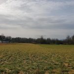 Sonnenwiese Wildtal