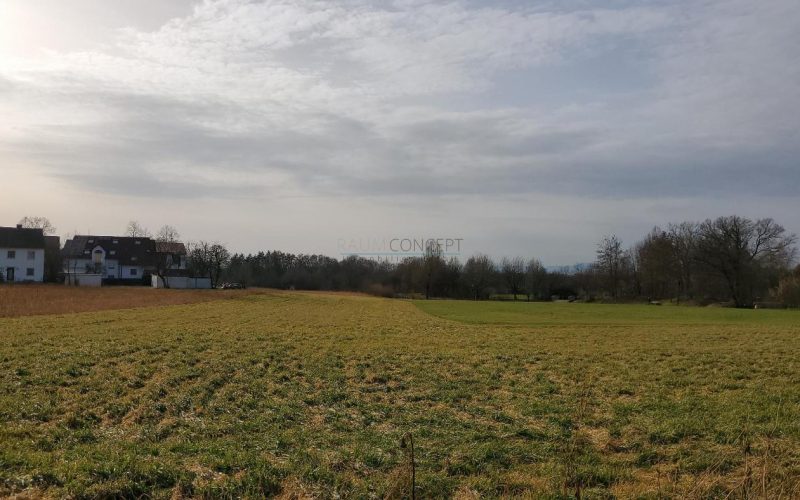 Sonnenwiese Wildtal