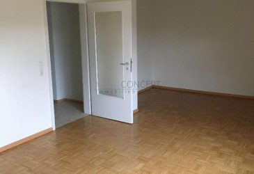Wohn-/Schlafzimmer
