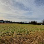 Sonnenwiese Wildtal
